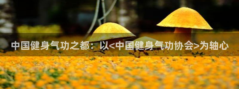 意昂4平台