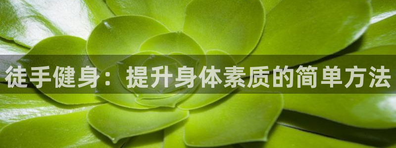 意昂4登录