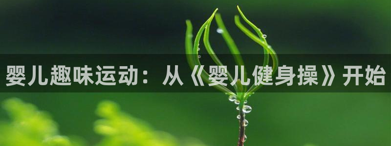 意昂4平台
