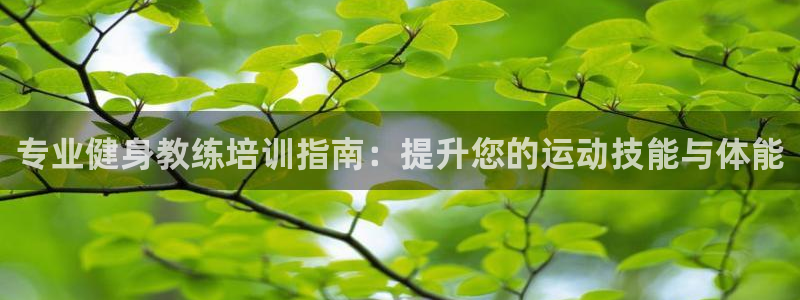 意昂4代理