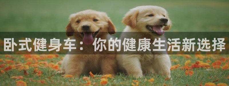 意昂4注册